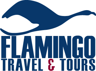 Flamingo Travel & Tours